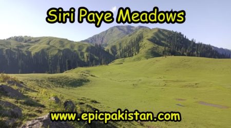 Siri Paye Meadows—A Hidden Gem of Shogran Valley