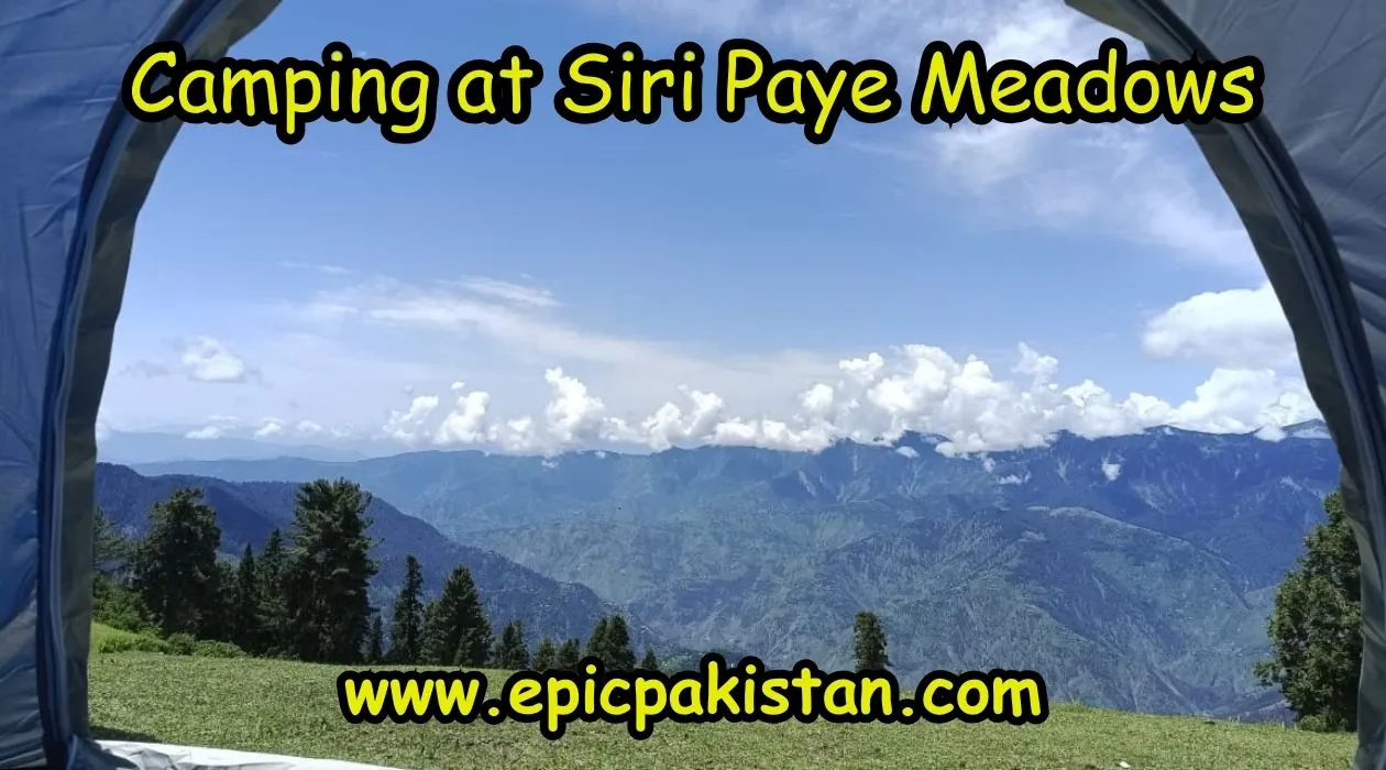 camping at Siri Paye Meadows