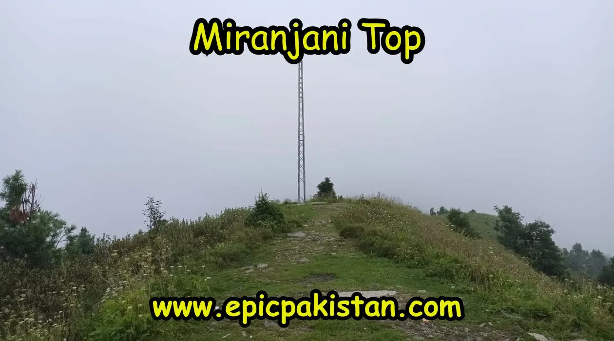 Miranjani Top