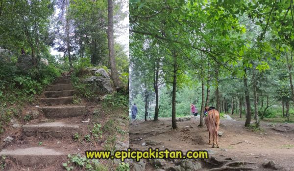 Miranjani Trek start point Stairs